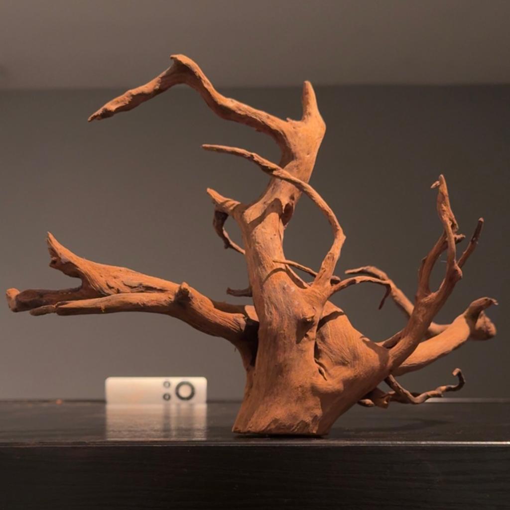 Uniek stuk Spiderwood / Driftwood / Kienhout, Hout Decoratie, Ophalen of Verzenden, Zo goed als nieuw, Plant(en), Steen of Hout