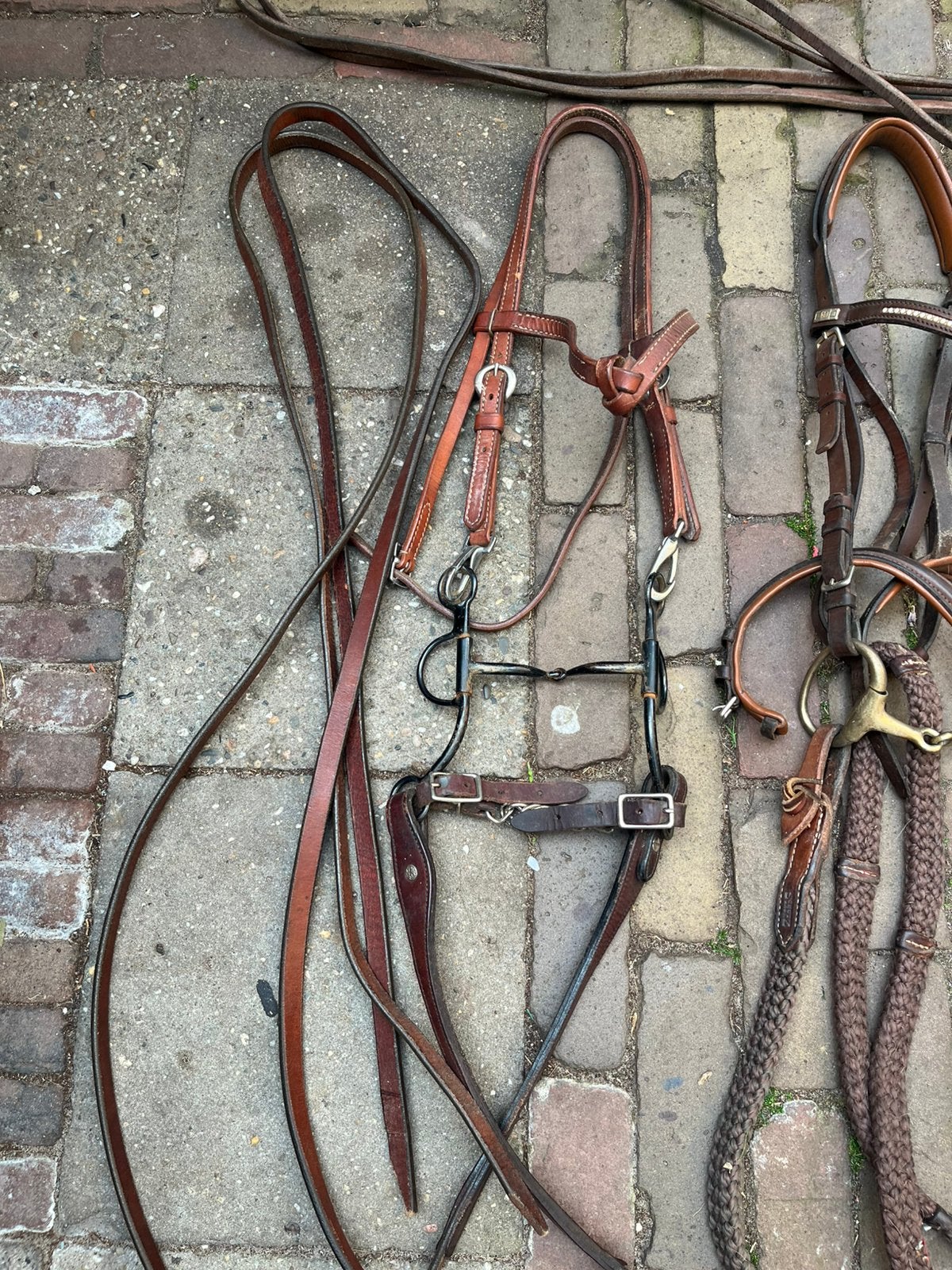 Paarden hoofdstellen en halsters, Dieren en Toebehoren, Ophalen, Gebruikt, Overige soorten