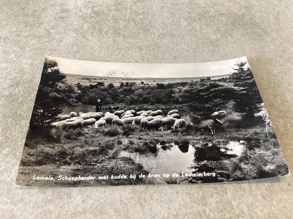 Lemele.  Schaapherder met kudde bij bron op de Lemelerberg, Ophalen of Verzenden, 1960 tot 1980, Overijssel