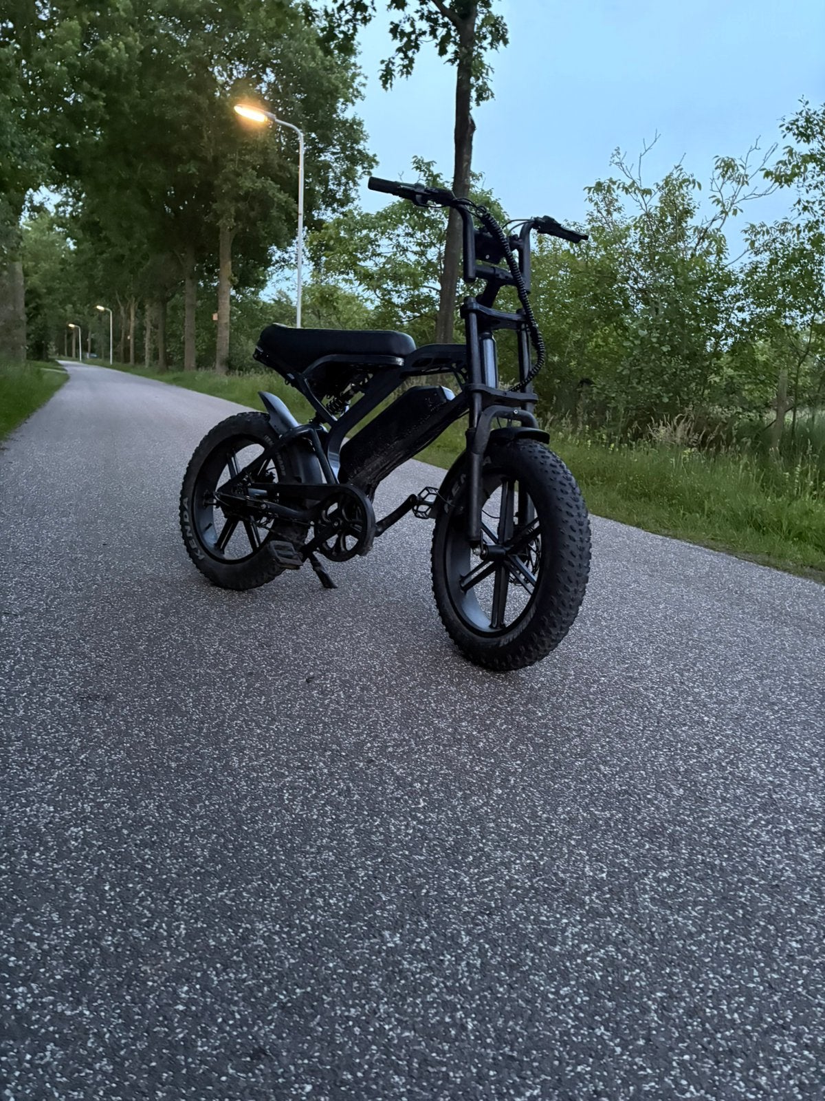 Fatbike, Fietsen en Brommers, Elektrische fietsen, 59 cm of meer, Ophalen of Verzenden, Zo goed als nieuw, Overige merken