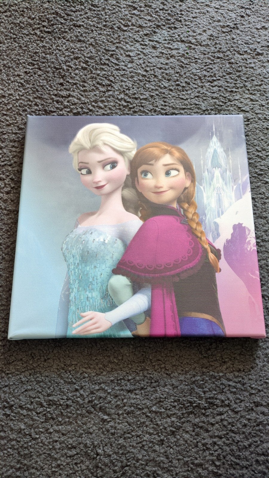 Frozen canvas schilderij 30x30, Ophalen