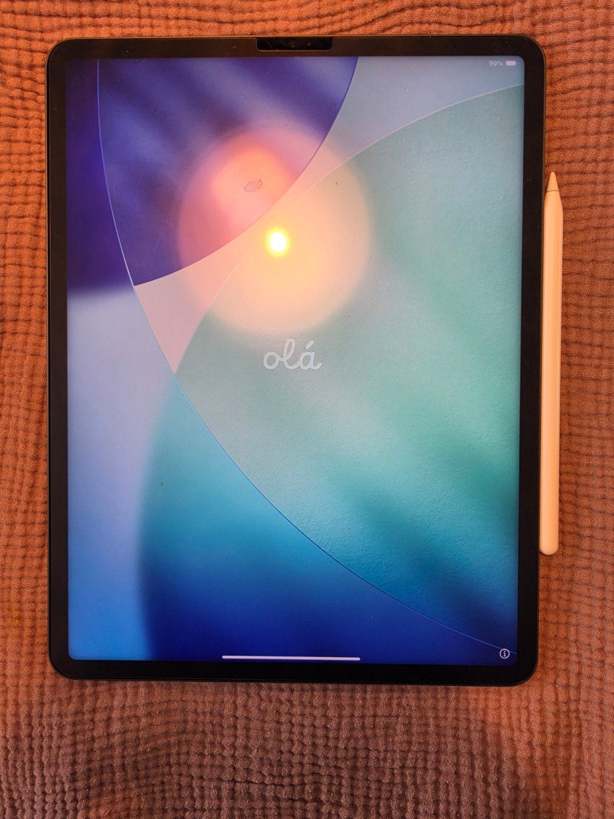 iPad Pro 2022 M1 A2378 - met Apple pen, Computers en Software, Ophalen, Apple iPad, 12 inch, Zo goed als nieuw