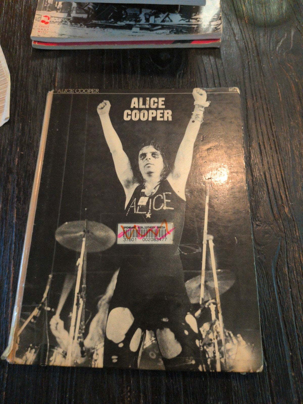 Alice Cooper Gitaar Boek Jaren '70, Boeken, Ophalen of Verzenden, Gelezen, Artiest, Alice Cooper