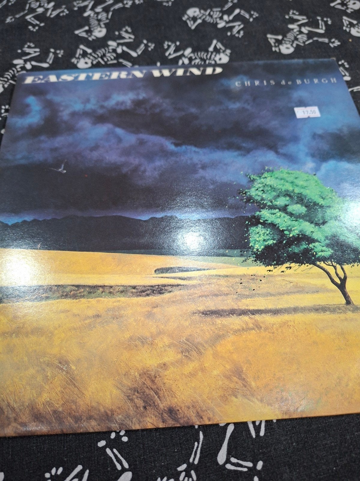 chris de burgh, Cd's en Dvd's, Ophalen of Verzenden