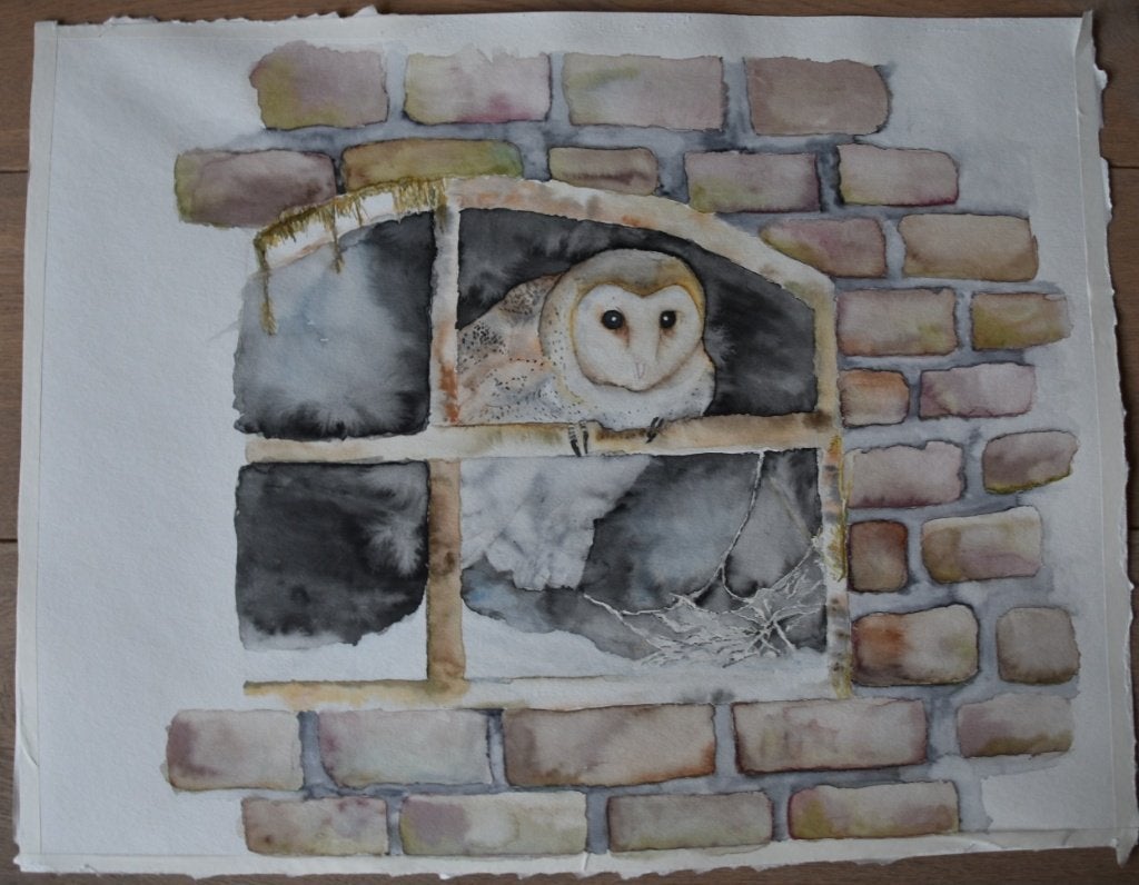 Uil in raamkozijn - Originele aquarel 50x65 cm, Ophalen, Dieren, Handgeschilderd, Aquarel