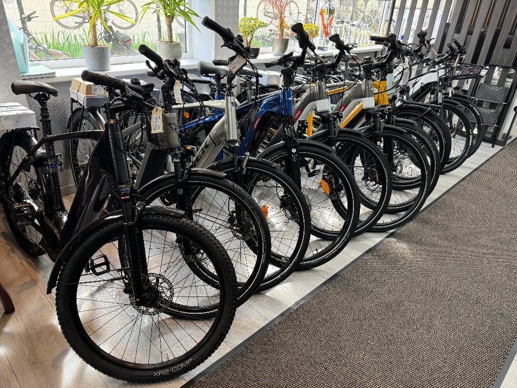 Bosch Elektrische Herenfietsen Verschillende Merken