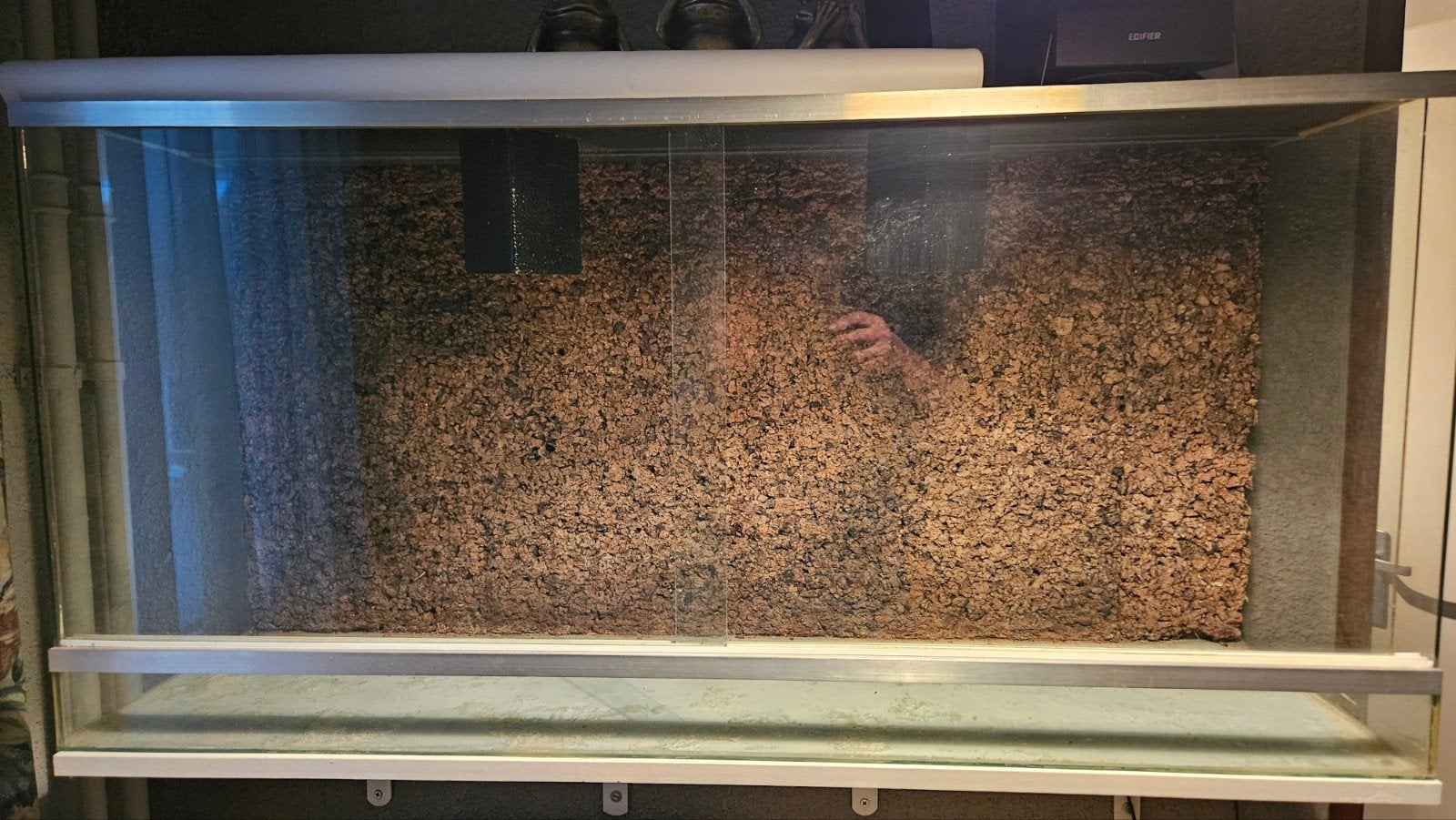Terrarium