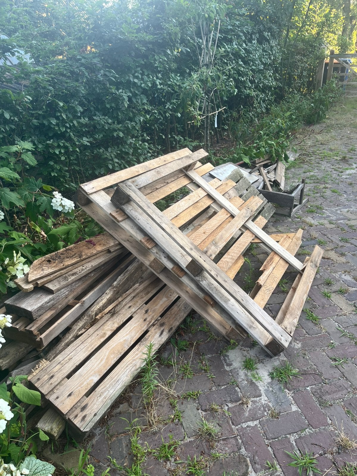 Gratis op te halen brandhout, Doe-het-zelf en Verbouw, Hout en Planken, Ophalen, Minder dan 25 mm, Zo goed als nieuw, Pallet