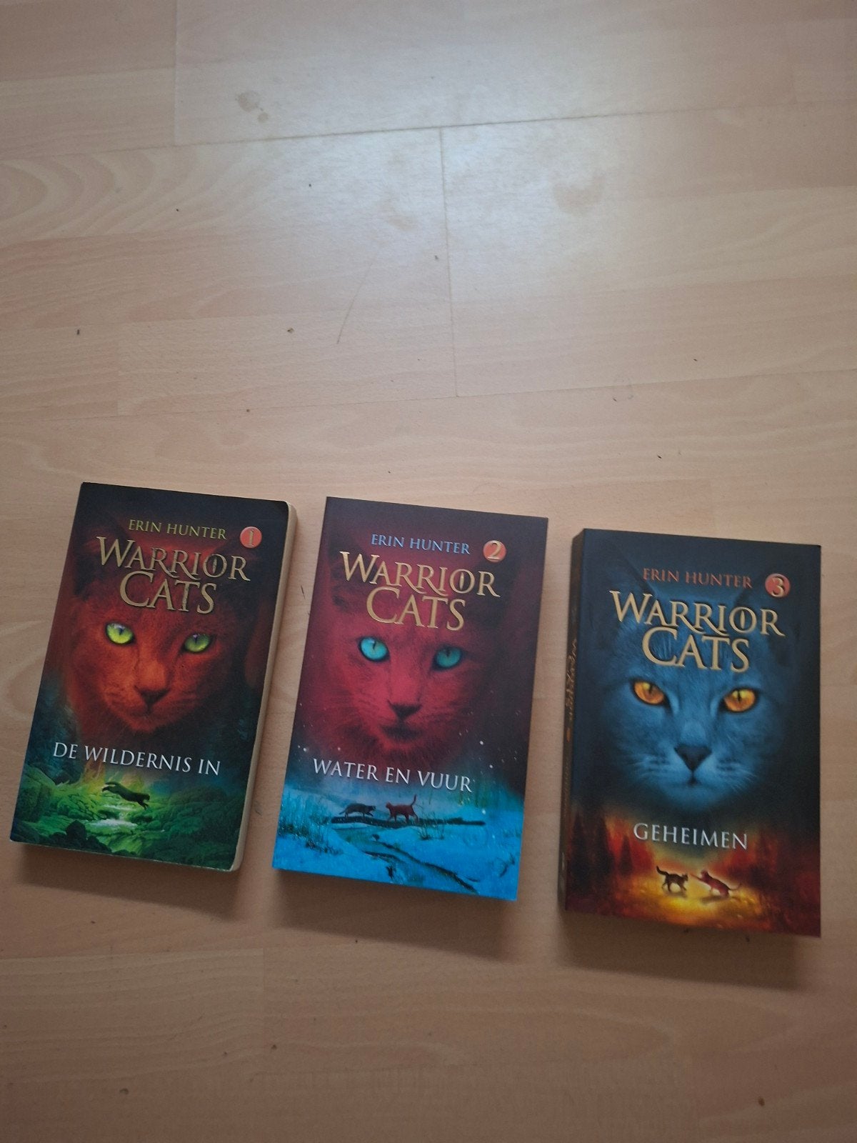 De warrior Cats boek 1 , 2 en 3 < serie 1>, Boeken, Ophalen of Verzenden, Zo goed als nieuw