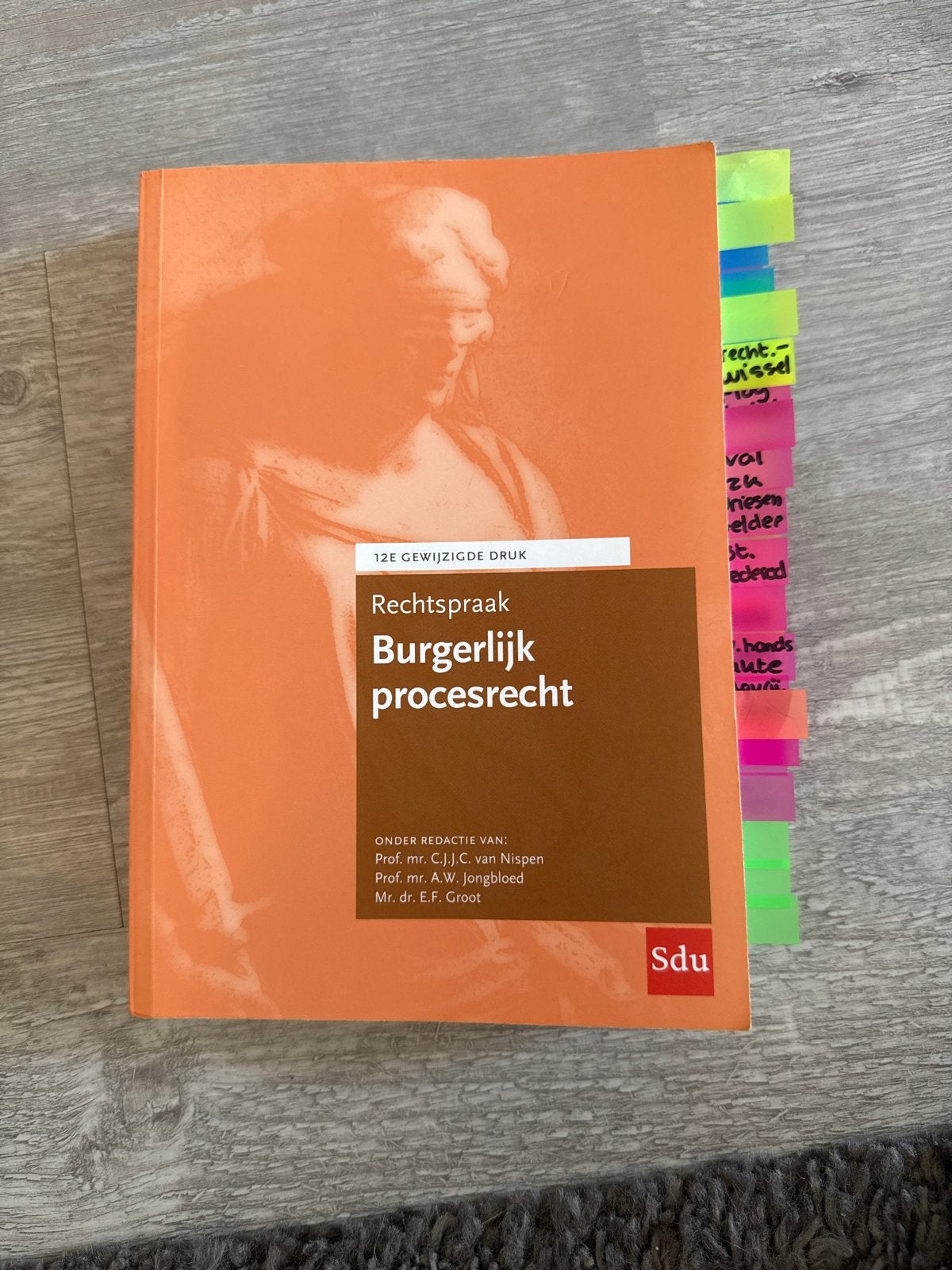Rechtspraak Burgerlijk procesrecht - 12e druk, Ophalen of Verzenden, Gamma, Gelezen, WO