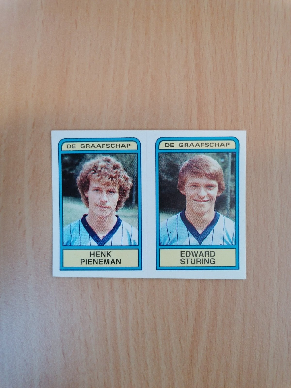 Panini Voetbal 84 #356 Pieneman en Sturing., Ophalen of Verzenden, Zo goed als nieuw, Sticker