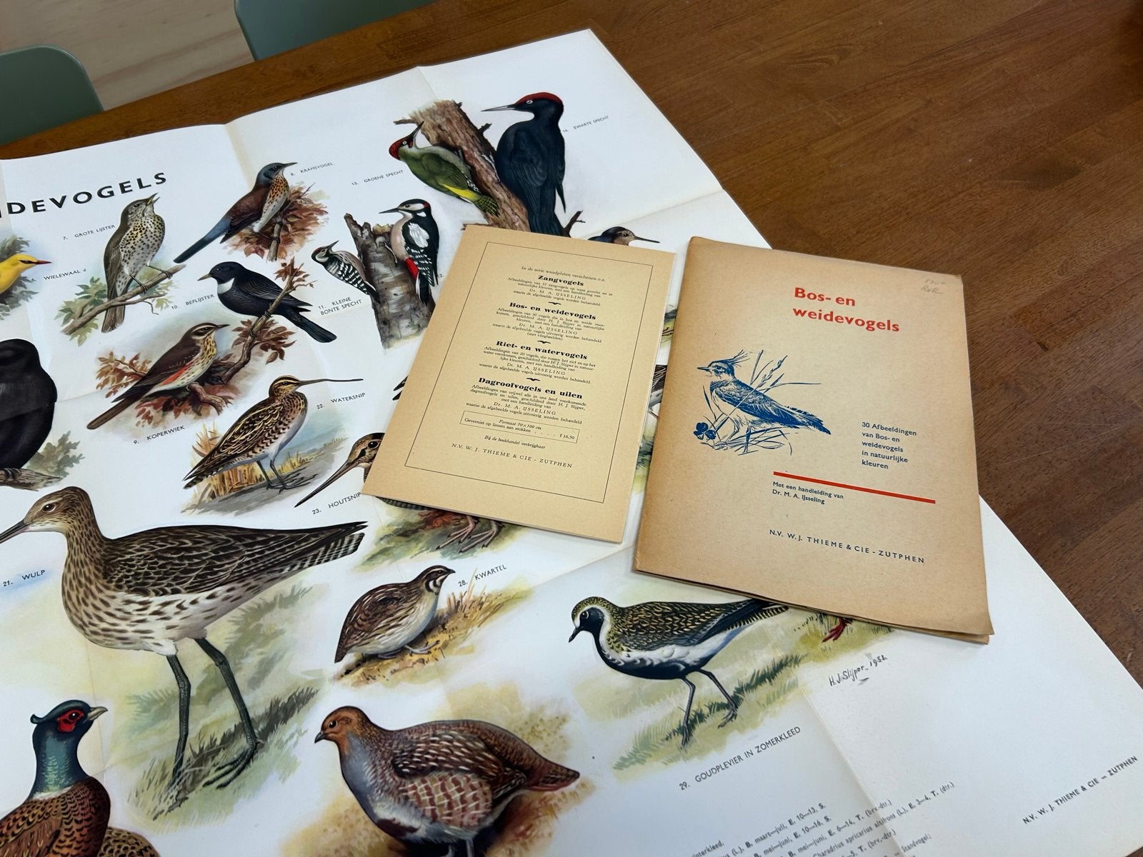Vintage schoolplaat: Bos- en weidevogels met boekjes, Antiek en Kunst, Antiek | Schoolplaten, Ophalen of Verzenden, Natuur en Biologie