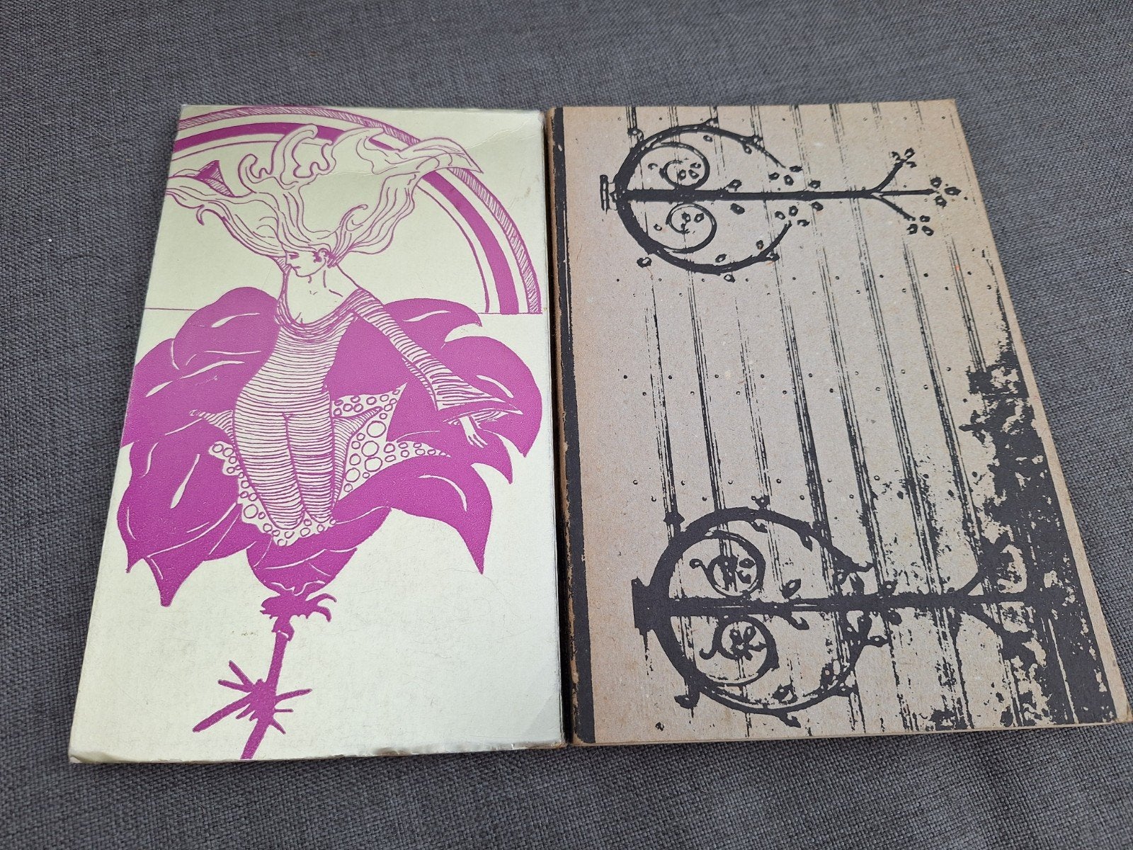 Lustrumboeken Albertus Magnus 1972 & 1977, Boeken, Tijdschriften en Kranten, Ophalen of Verzenden, Gelezen, Overige typen