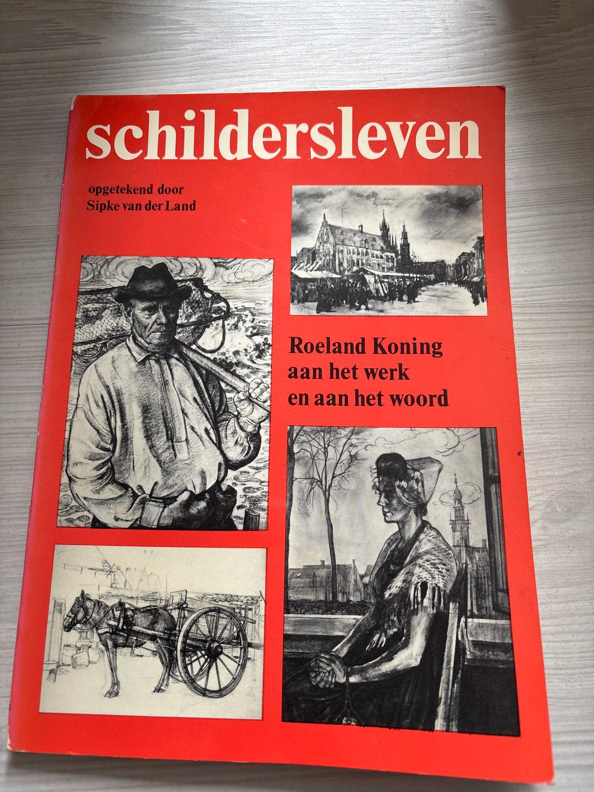 Schildersleven: Roeland Koning aan het werk en aan het woord, Ophalen of Verzenden, Gelezen, Nederland