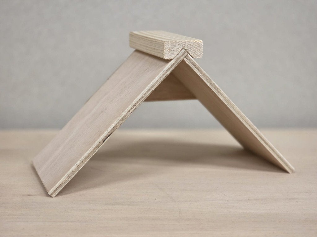 zitschapjes voor duiven, Meerdere dieren, Postduif