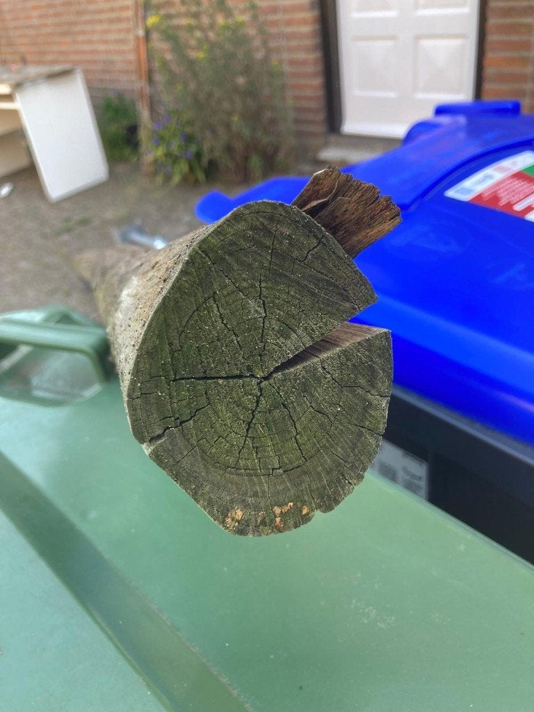 Houten palen tuin, 300cm, Tuin en Terras, Ophalen, Nieuw, 250 cm of meer, Palen