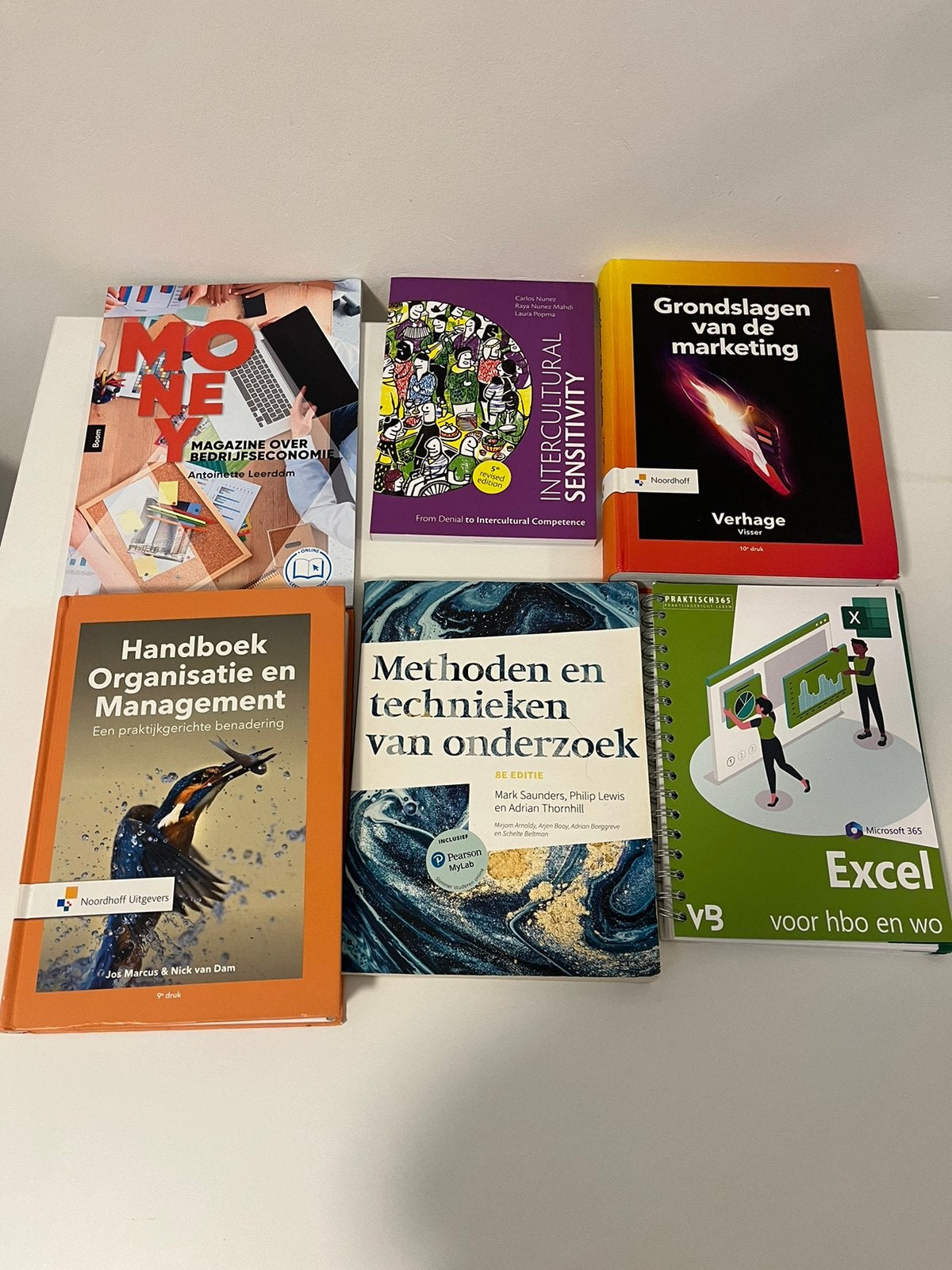 6 studieboeken HBO Toerisme Management, Boeken, Studieboeken en Cursussen, Verzenden, Beta, Zo goed als nieuw, HBO