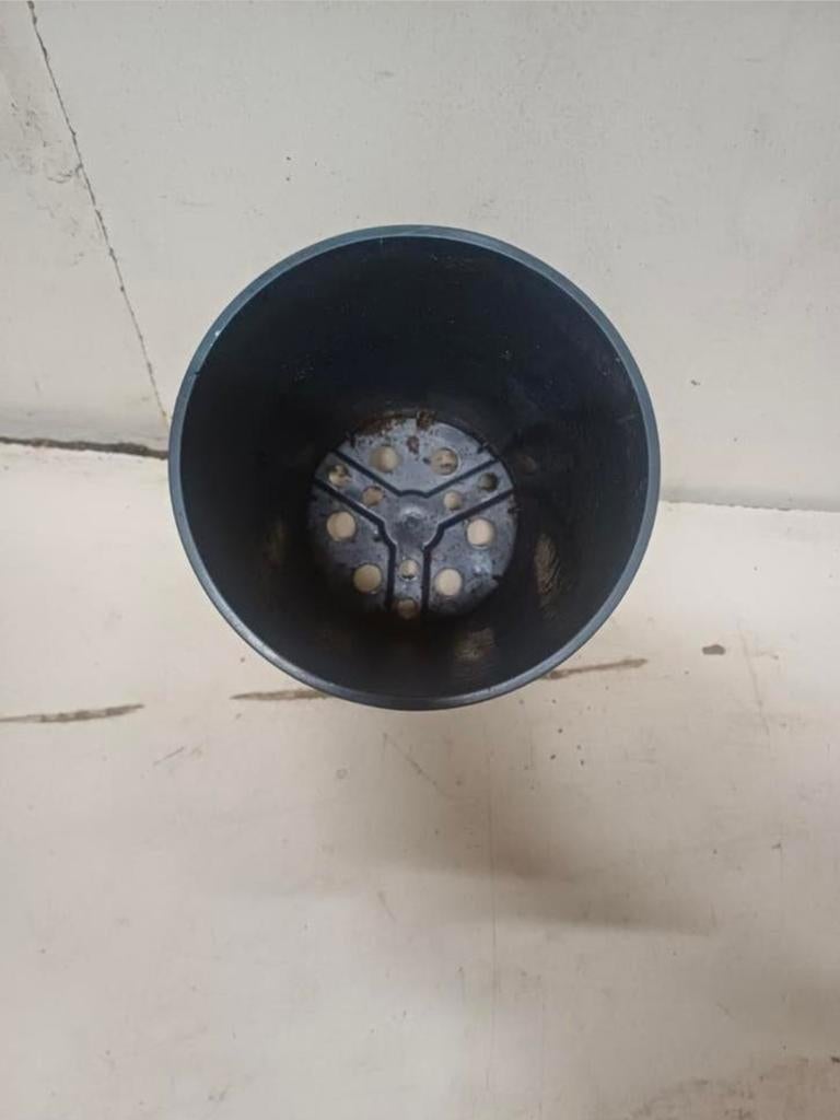Hoge kweekpotten plantenpotten bloempotten 2 liter, Kunststof, Gebruikt, Rond, Ophalen of Verzenden
