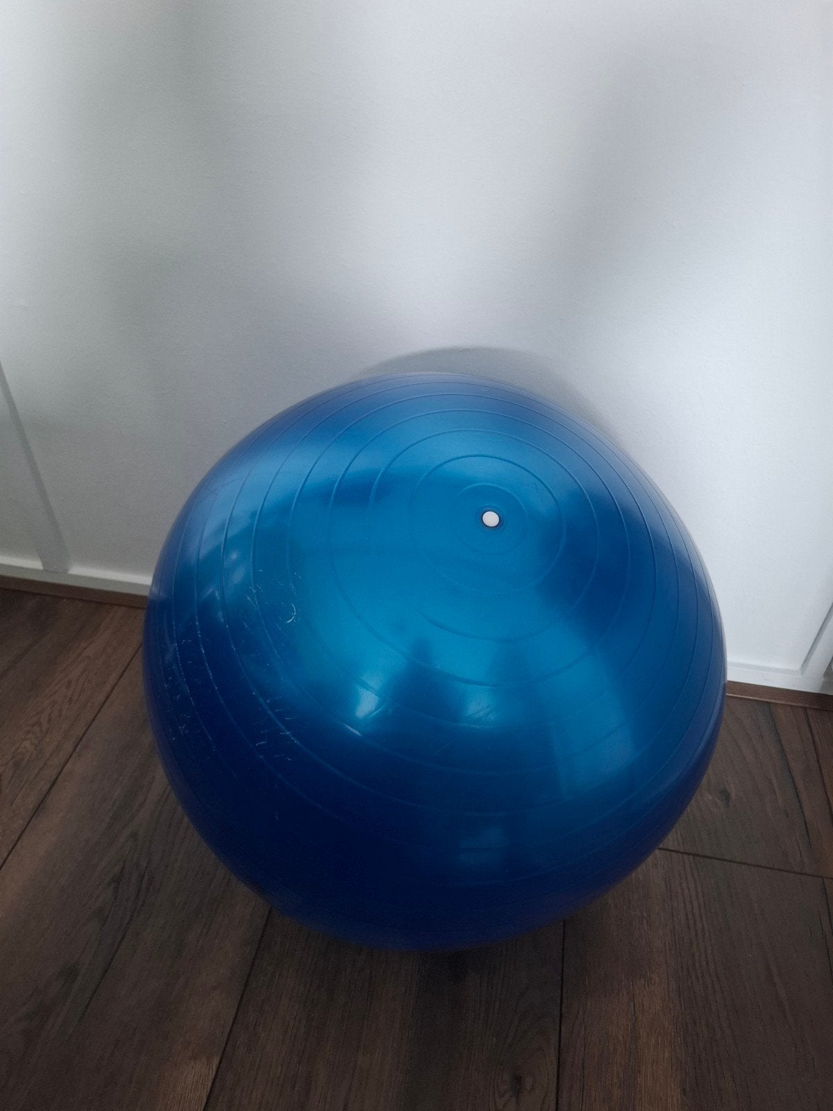 Fitnessbal / Gymbal - Blauw - Diameter 50cm, Sport en Fitness, Fitnessmaterialen, Ophalen