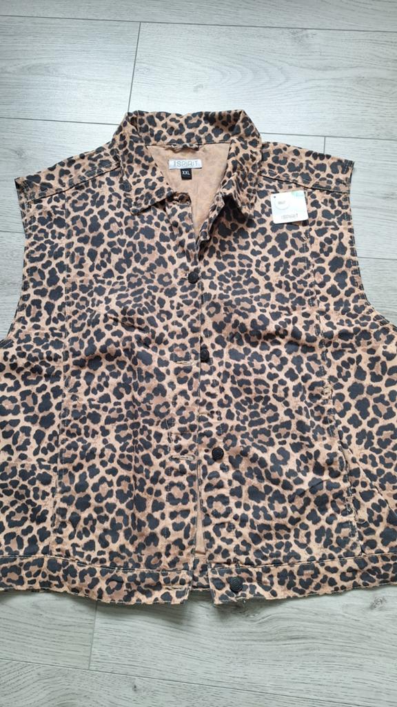 Nieuw gilet met panterprint - XXL, Esprit, Ophalen of Verzenden, Nieuw