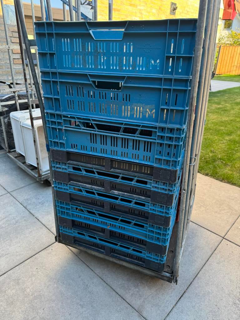 10 Kunststof stapelkratten, Ophalen, Gebruikt, 40 tot 60 cm, 50 tot 75 cm