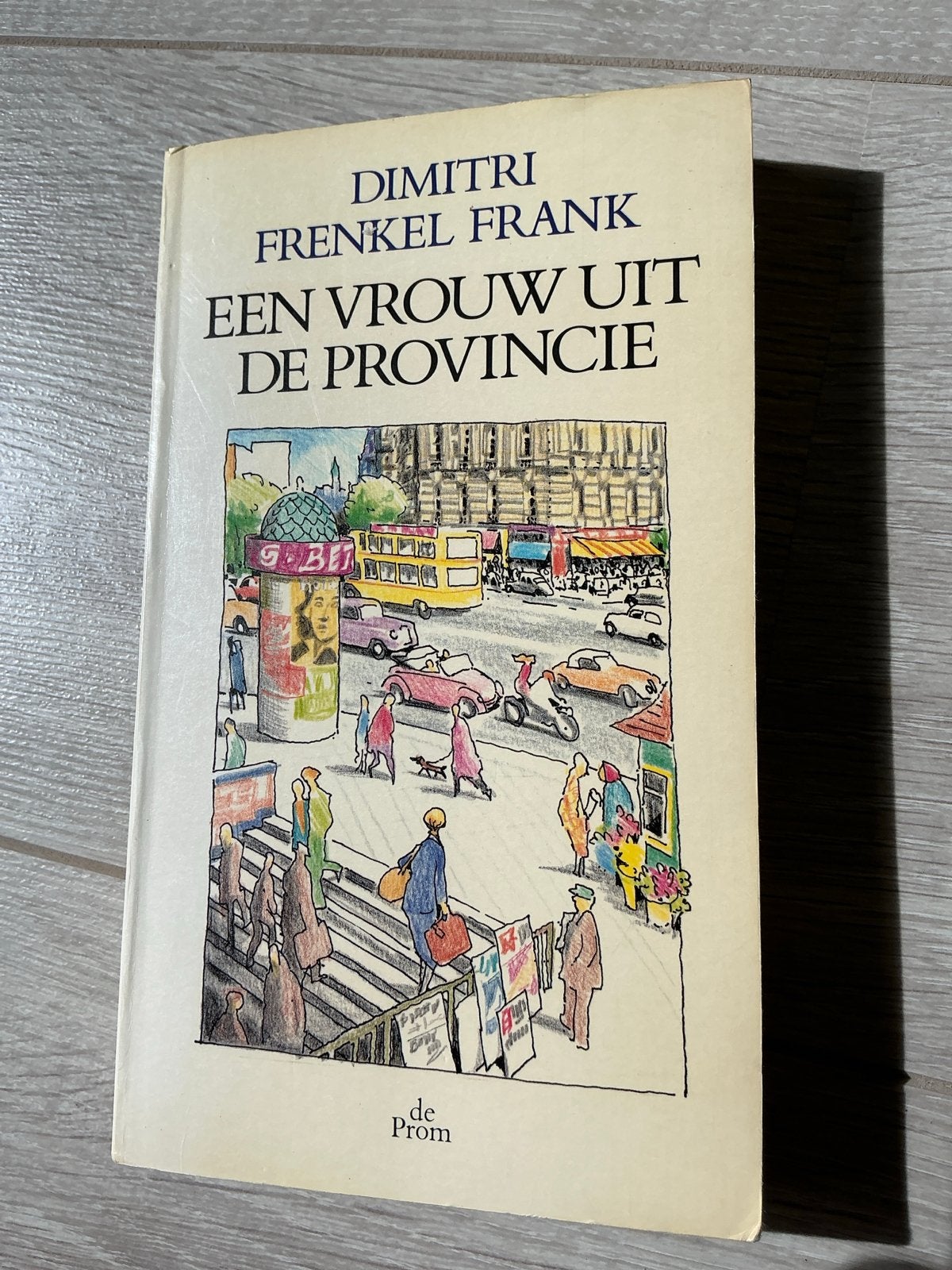 Dimitri Frenkel Frank - Een vrouw uit de provincie, Ophalen of Verzenden, Gelezen, Nederland