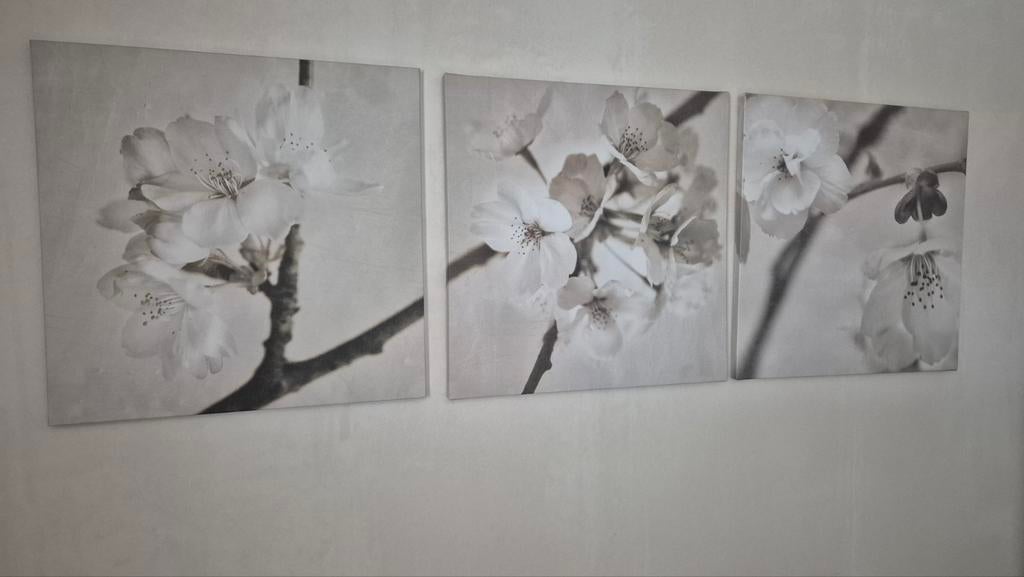 IKEA PJÄTTERYD set van 3 met een kersenbloesemmotief., Huis en Inrichting, Ophalen of Verzenden, Minder dan 50 cm, Schilderij