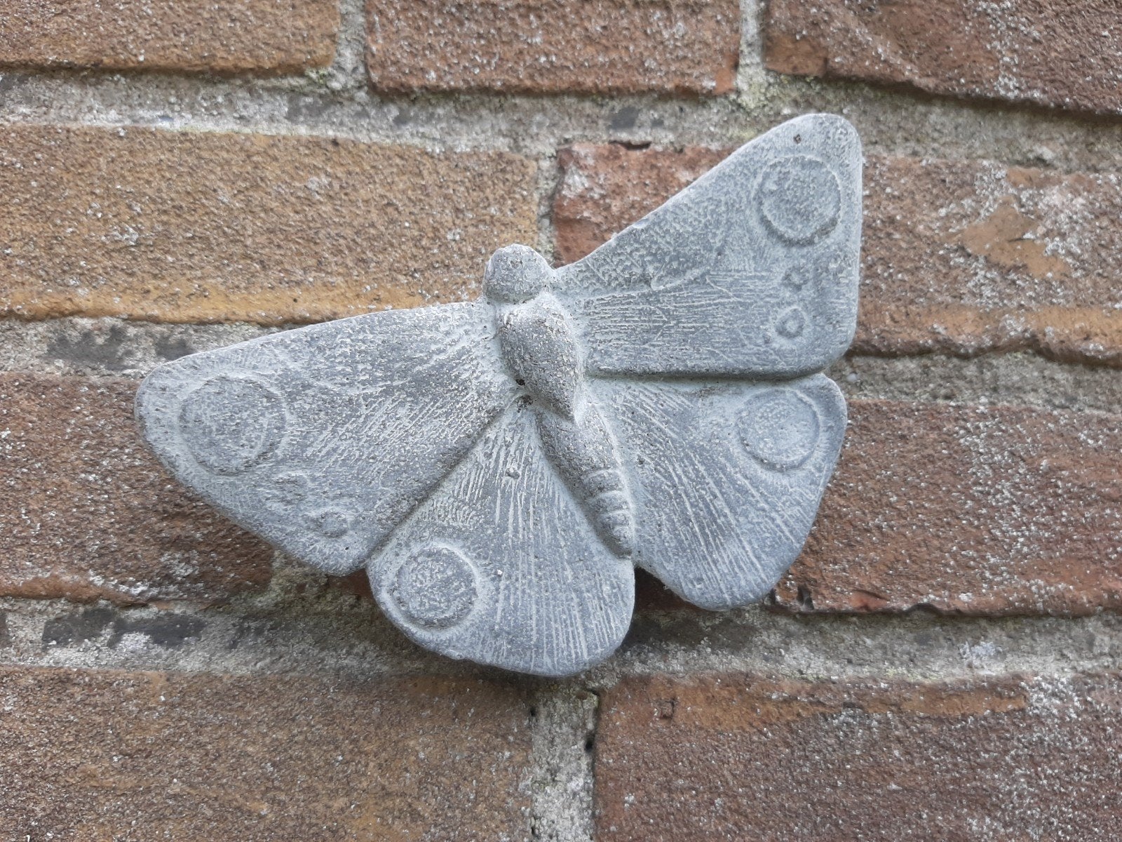 Vlinder wanddecoratie betonnen beeld tuinbeeld beton, Ophalen of Verzenden