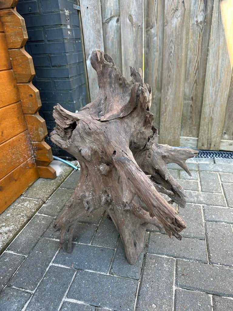 Groot stuk aquarium hout, Dieren en Toebehoren, Ophalen