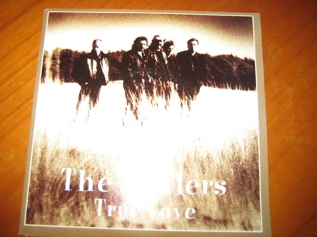The Healers: True Love, Ophalen of Verzenden, Zo goed als nieuw, Pop