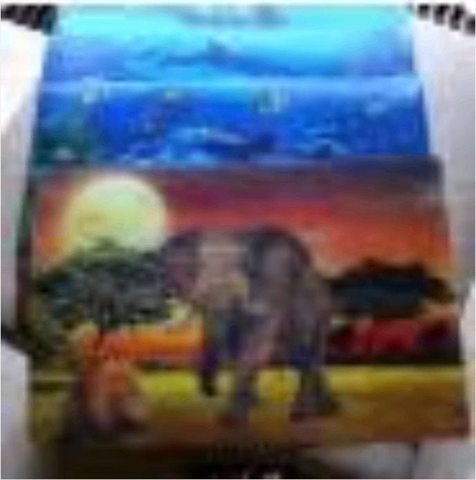 4 place mats met dieren, Overige typen, Ophalen of Verzenden, Zo goed als nieuw, Overige merken