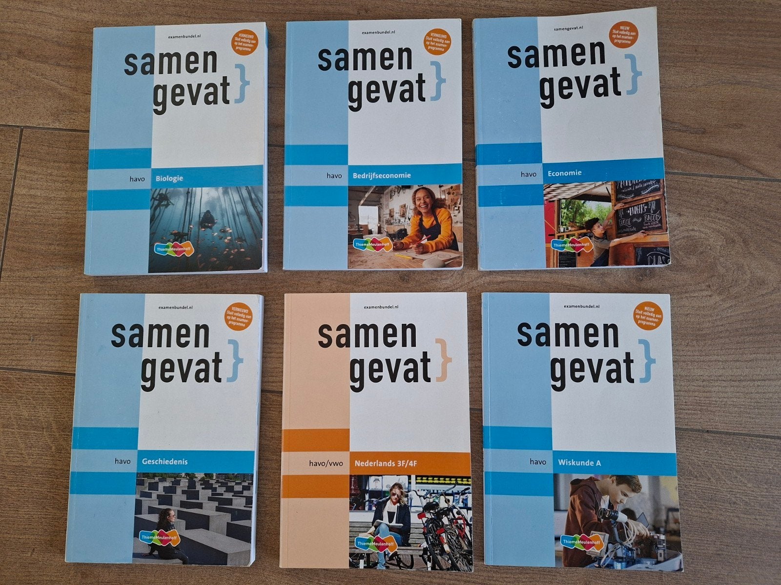 Samengevat Havo. Diverse vakken., Boeken, Schoolboeken, Ophalen, Zo goed als nieuw, HAVO, Nederlands