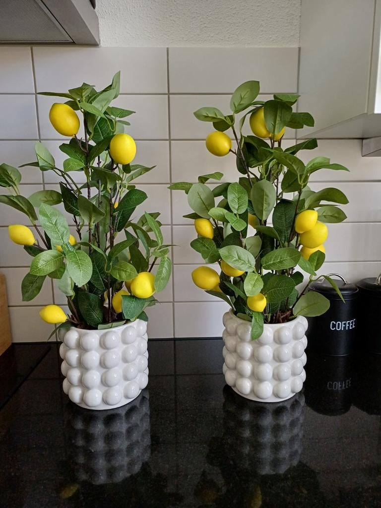 Kunstplant citroenboom in pot, 2 stuks, Ophalen of Verzenden, Nieuw