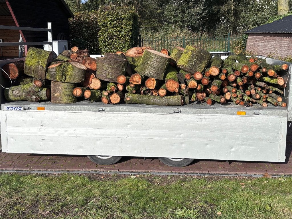 Brandhout / Haardhout vers gezaagd (kers / appel), 3 tot 6 m³, Ophalen, Overige houtsoorten, Stammen