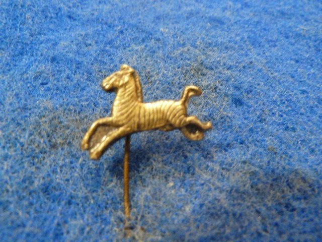Speldje Zebra, Ophalen of Verzenden, Zo goed als nieuw, Overige onderwerpen