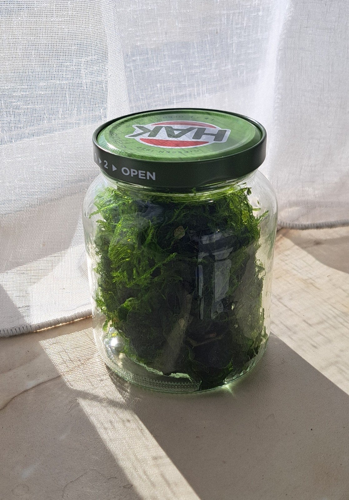 javamos potje vol, Ophalen, Plant(en), Steen of Hout