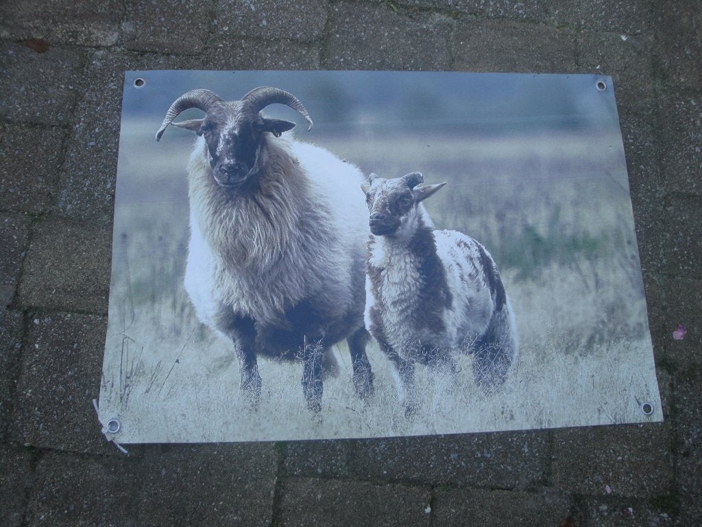 tuinposter geschikt voor buiten ook binnen leuk, Tuin en Terras, Ophalen of Verzenden, Nieuw