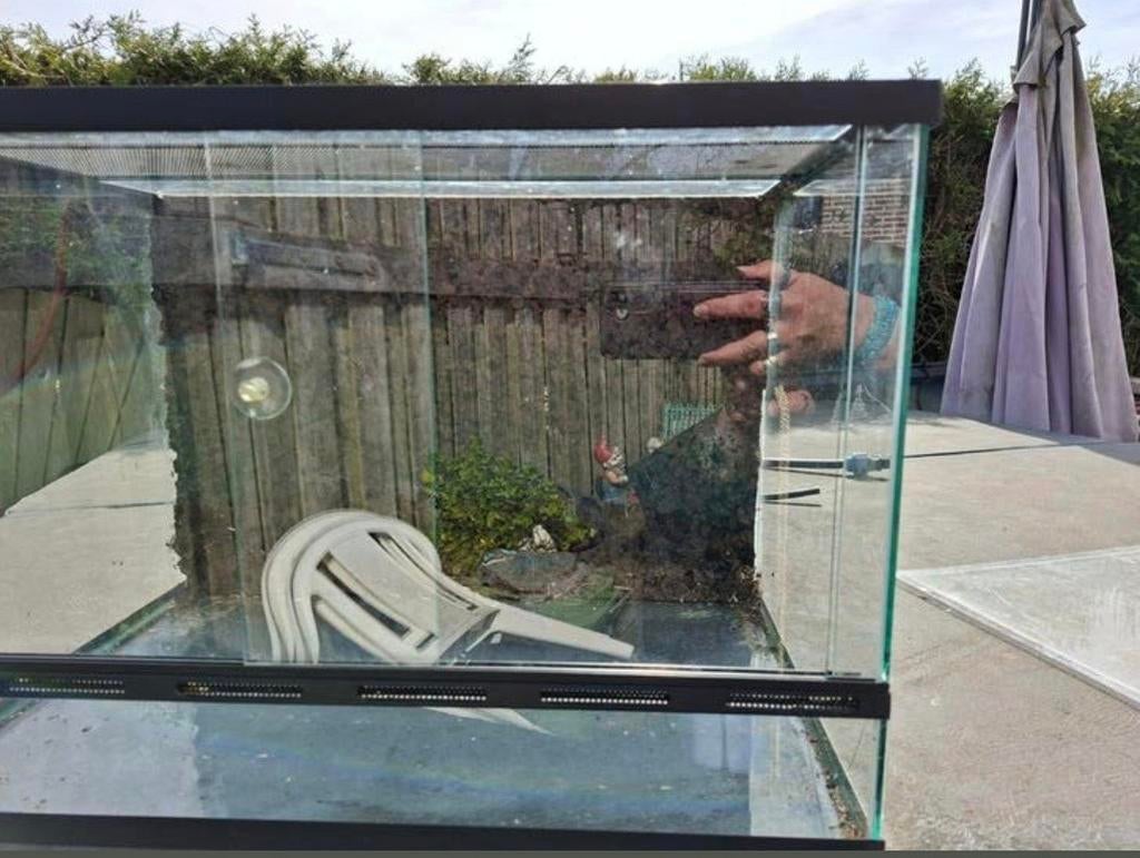 Terrarium, Dieren en Toebehoren, Ophalen