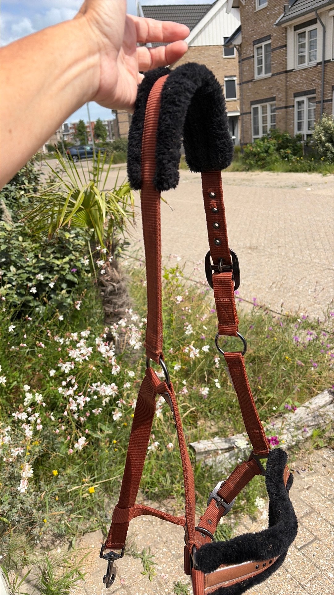 Halster Waldhausen bruin met bont maat COB, Dieren en Toebehoren, Paarden en Pony's | Hoofdstellen en Tuigage, Bruin, Ophalen of Verzenden