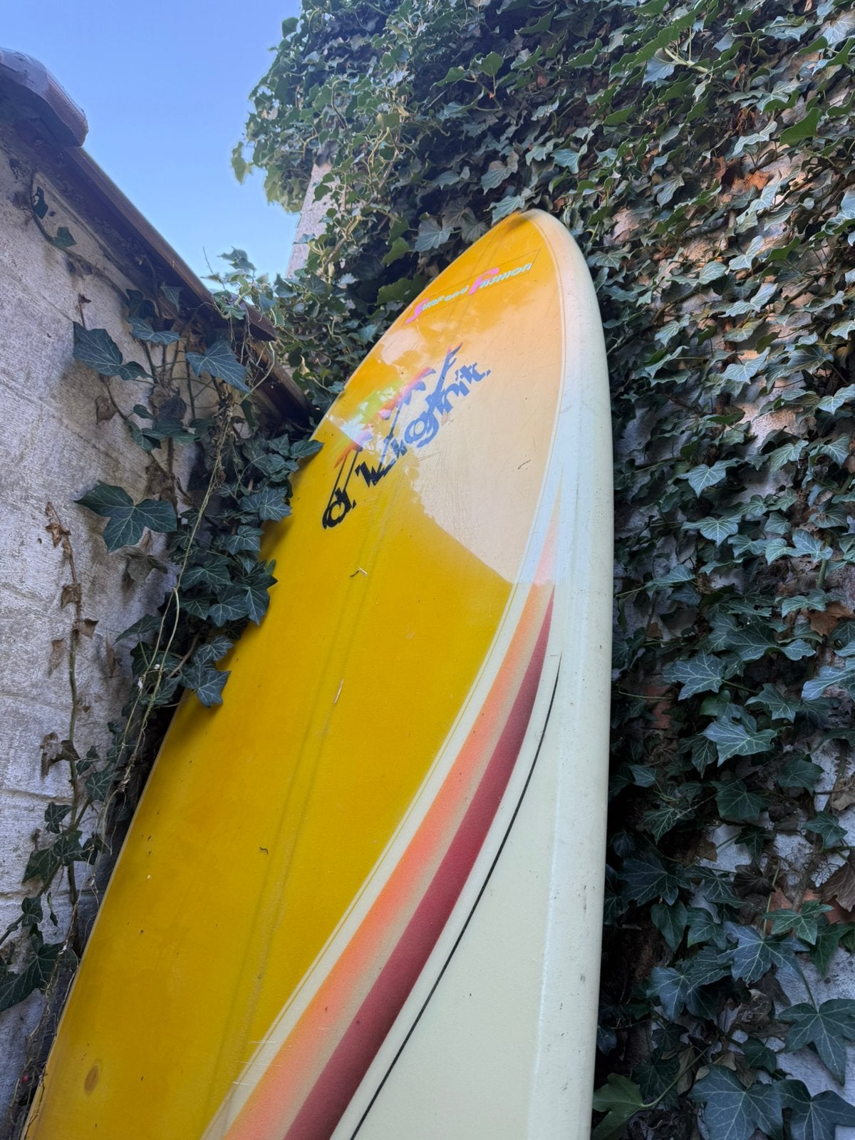 Vintage retro windsurf custom d’light, Watersport en Boten, Ophalen of Verzenden, Zo goed als nieuw, Plank