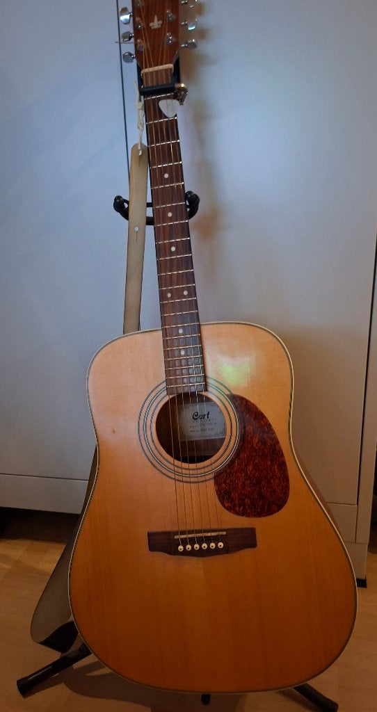 e koop: Cort EARTH70E NS Westerngitaar, Ophalen, Gebruikt, Western- of Steelstringgitaar, Met (piezo-)element
