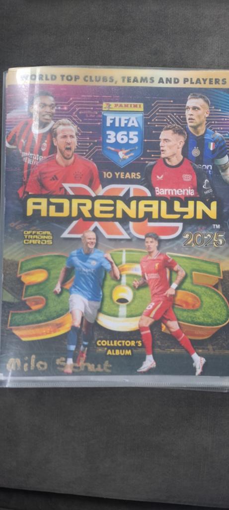Panini FIFA 365 Adrenalyn XL 2025, Ophalen of Verzenden, Gebruikt, Buitenlandse clubs, Poster, Plaatje of Sticker