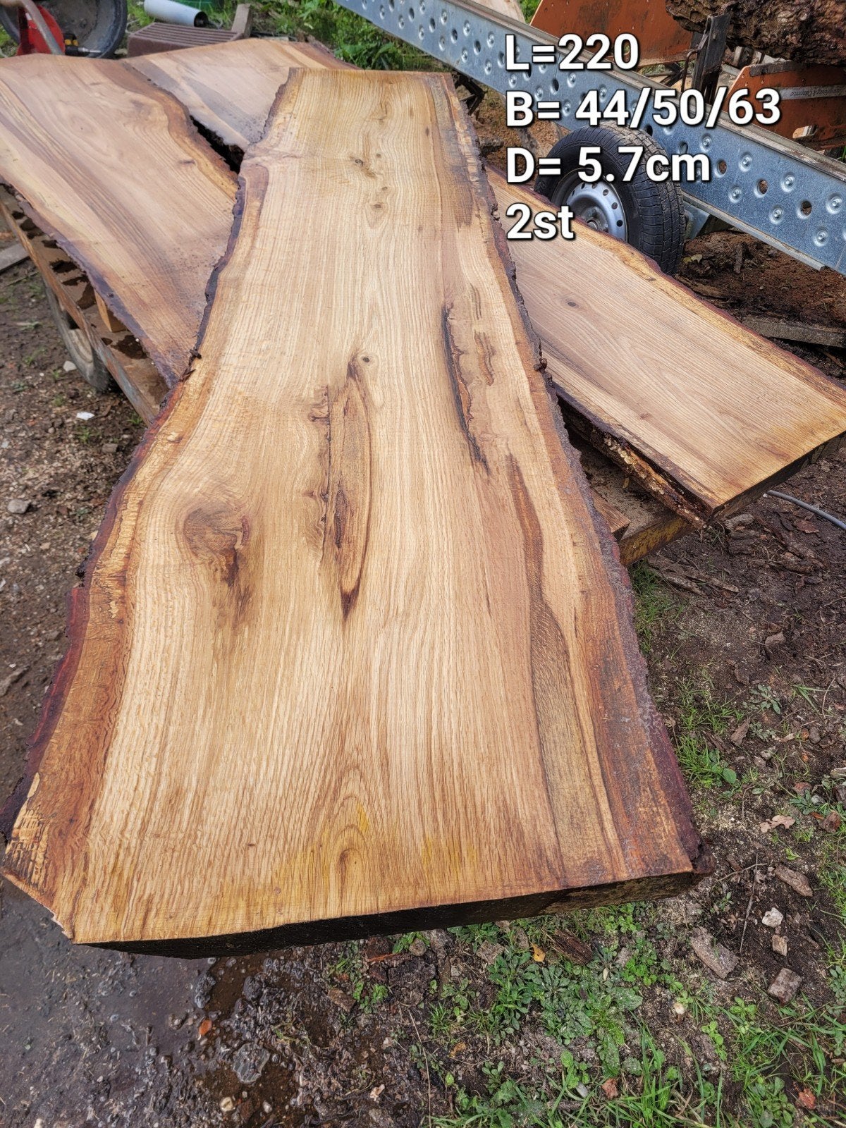 schaaldeel boomplank wandplank barblad EIKEN, Ophalen of Verzenden, Nieuw, 180 tot 250 cm, Planken