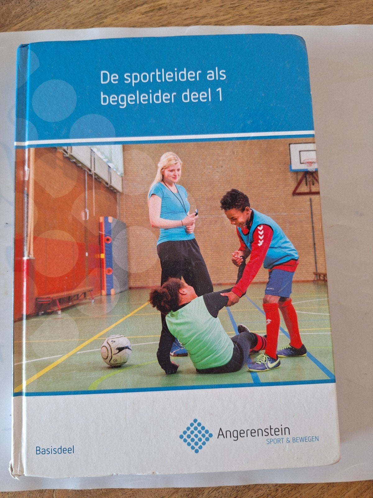 De sportleider als begeleider deel 1 - Angerenstein, Ophalen of Verzenden, Zo goed als nieuw, MBO, Gamma
