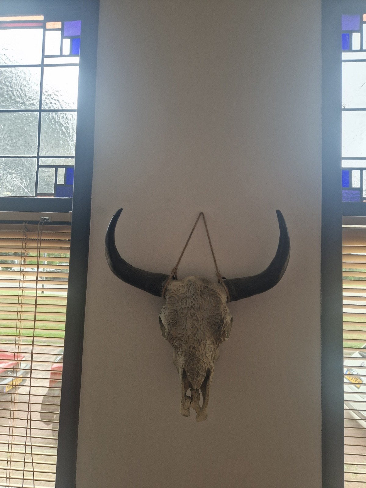 Buffel schedel imitatie, Ophalen, Zo goed als nieuw
