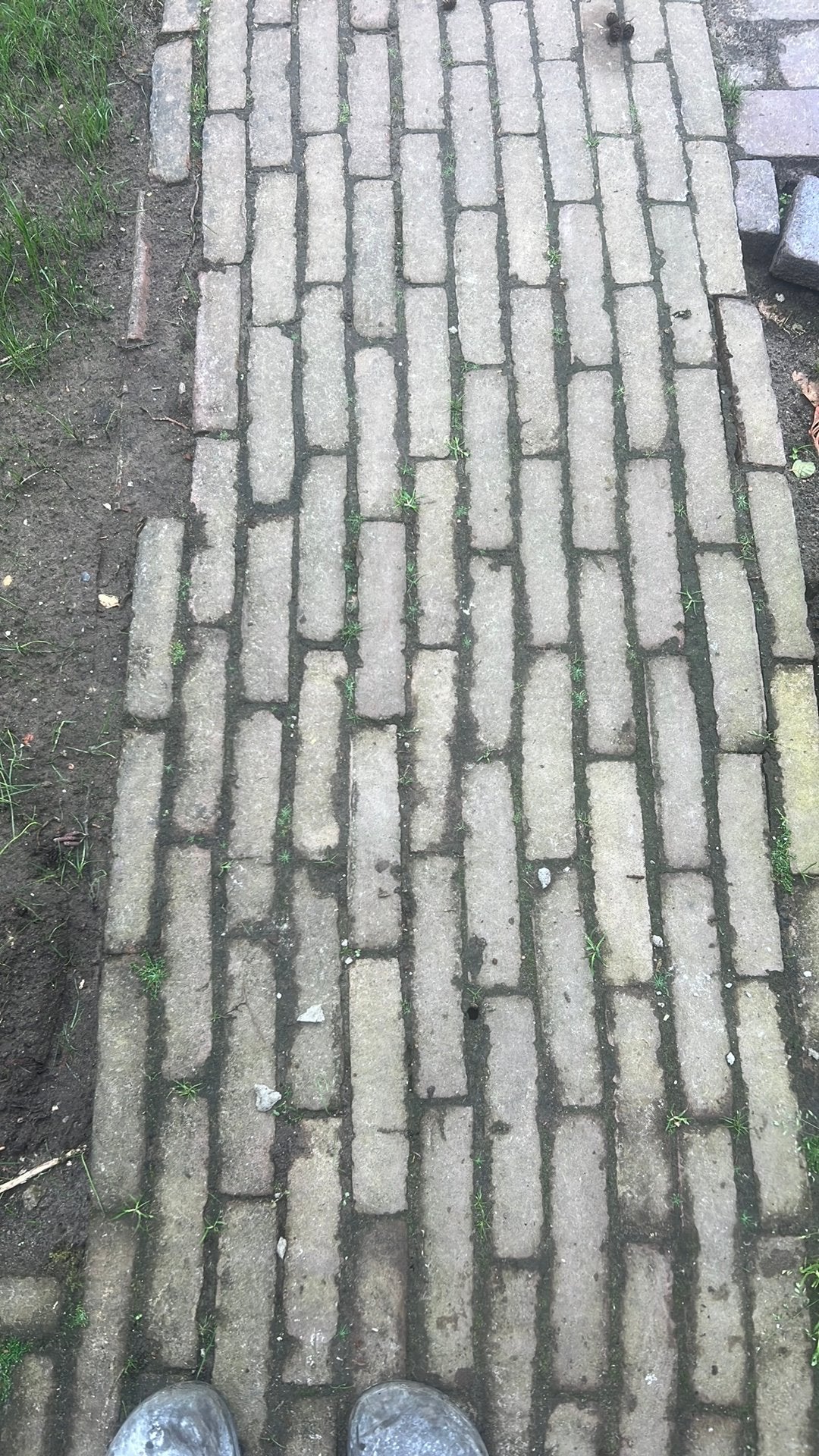 Gratis Ophalen: Mooie Klinkers (ca. 10 m², 20x10x5 cm), Ophalen, Gebruikt, Klinkers, 10 m² of meer