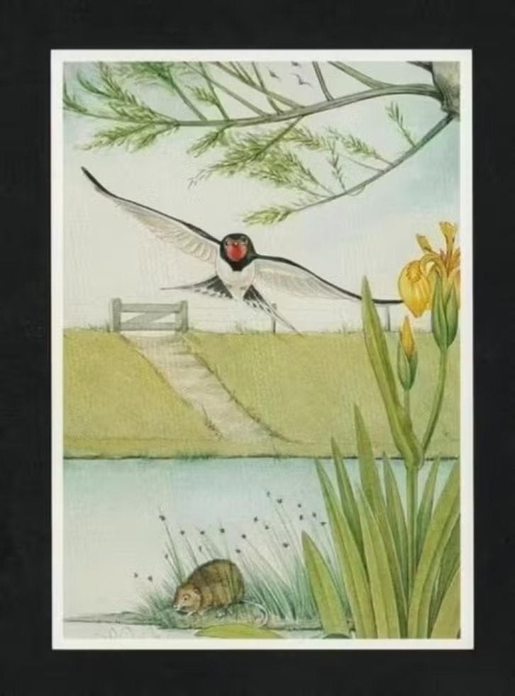 Boerenzwaluw Waterrat Sloot Gele Lis, Henk v.d. Vrande., Ophalen of Verzenden, 1980 tot heden, Ongelopen, Vogel