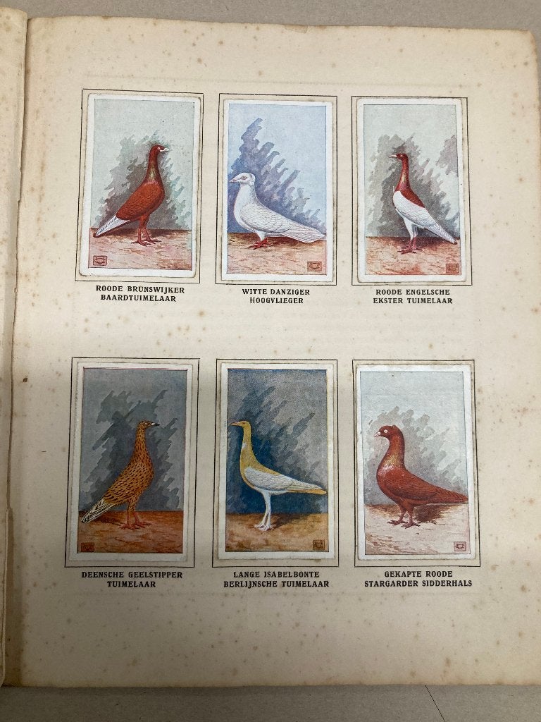 T.K. Onze duiven in woord en beeld Pleines Album IX, Ophalen of Verzenden, Gelezen, Prentenboek