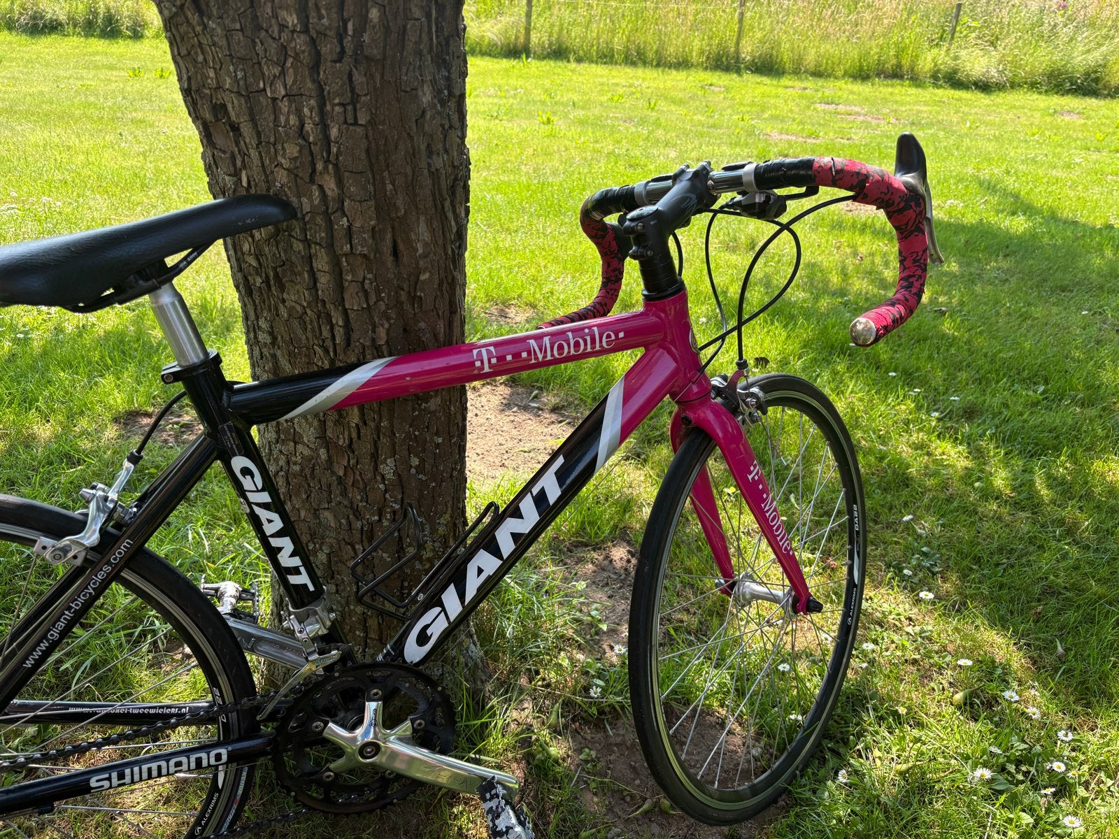 Giant Junior Racefiets Jan Ullrich T-Mobile Edition, Gebruikt, Aluminium, Overige maten, 15 tot 20 versnellingen