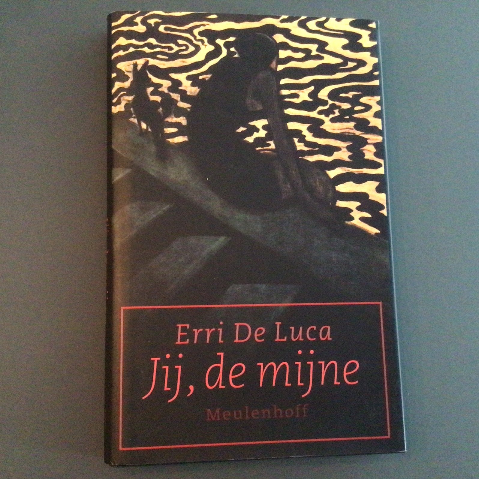 Erri de Luca - Jij, de mijne, Europa overig, Ophalen of Verzenden, Zo goed als nieuw, E. de Luca